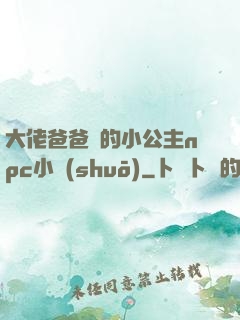 大佬爸爸們的小公主npc小說(shuō)