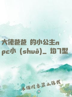 大佬爸爸們的小公主npc小說(shuō)