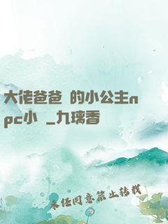 大佬爸爸們的小公主npc小說