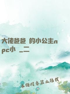 大佬爸爸們的小公主npc小說
