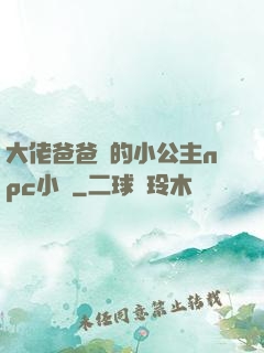 大佬爸爸們的小公主npc小說