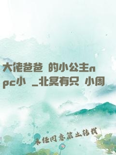 大佬爸爸們的小公主npc小說