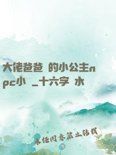 大佬爸爸們的小公主npc小說
