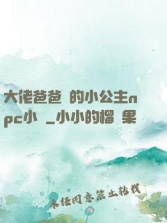 大佬爸爸們的小公主npc小說