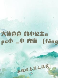 大佬爸爸們的小公主npc小說