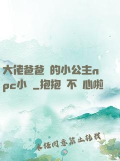 大佬爸爸們的小公主npc小說