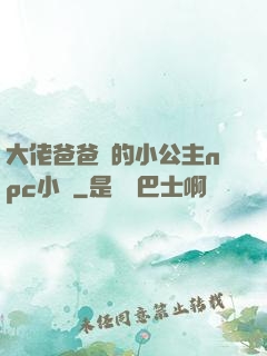 大佬爸爸們的小公主npc小說