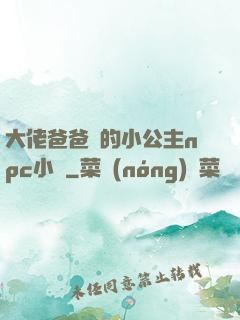 大佬爸爸們的小公主npc小說
