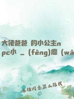 大佬爸爸們的小公主npc小說