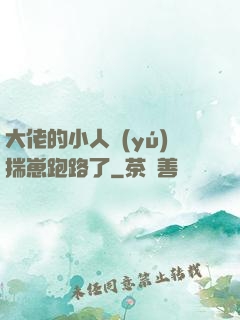 大佬的小人魚(yú)揣崽跑路了