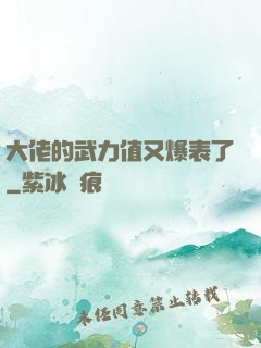 大佬的武力值又爆表了
