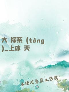 大偵探系統(tǒng)