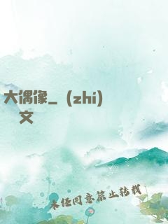 大偶像
