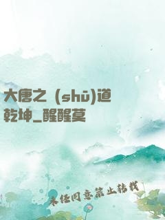 大唐之書(shū)道乾坤