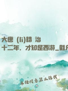 大唐勵(lì)精圖治十二年，才知是西游