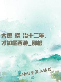 大唐勵精圖治十二年，才知是西游