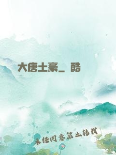 大唐土豪