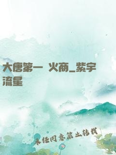大唐第一軍火商