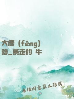 大唐風(fēng)華路