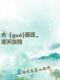 大國(guó)基建