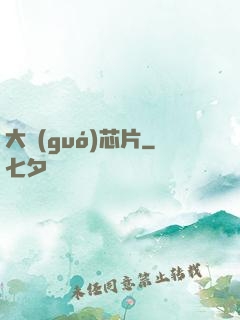 大國(guó)芯片