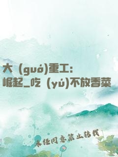 大國(guó)重工：崛起