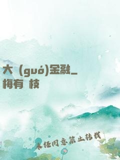 大國(guó)金融