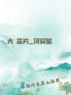 大國芯片