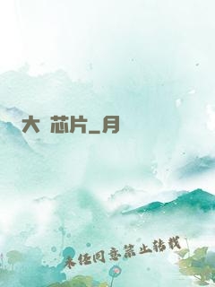 大國芯片