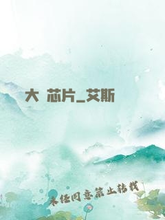 大國芯片