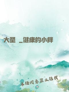 大圣傳