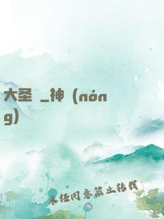 大圣傳
