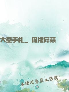 大圣手札