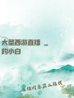 大圣西游直播間