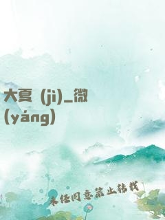 大夏紀(jì)
