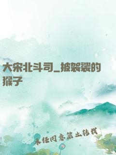大宋北斗司