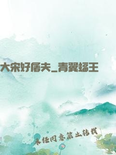 大宋好屠夫