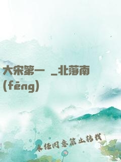 大宋第一報
