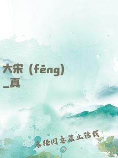 大宋風(fēng)華