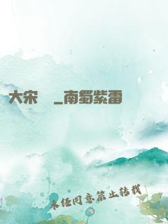 大宋風華