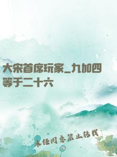 大宋首席玩家