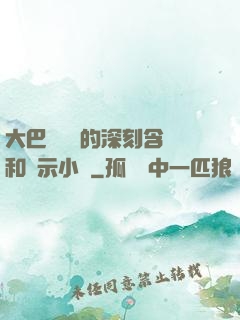 大巴車輪軒的深刻含義和啟示小說