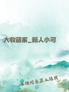 大收藏家
