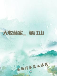 大收藏家