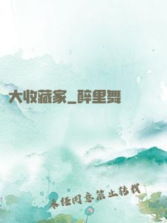 大收藏家