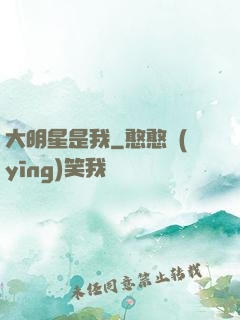 大明星是我