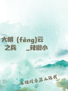 大明風(fēng)云錄之兵鋒殘劍