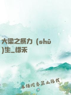 大梁之暴力書(shū)生