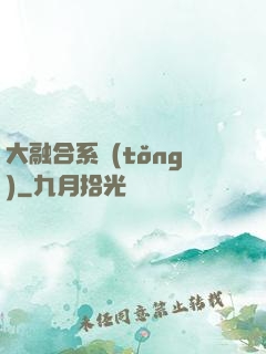 大融合系統(tǒng)