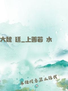 大魏宮廷